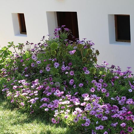 Agroturismo Can Fuster Sant Joan De Labritja Bagian luar foto