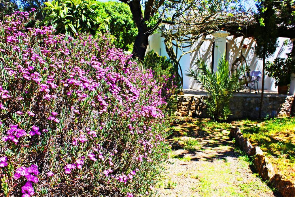 Agroturismo Can Fuster Sant Joan De Labritja Bagian luar foto