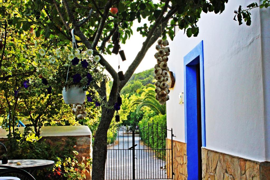 Agroturismo Can Fuster Sant Joan De Labritja Bagian luar foto